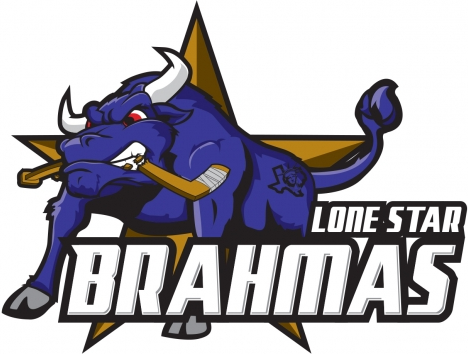 lone star brahmas 2013 14-pres primary logo iron on heat transfer